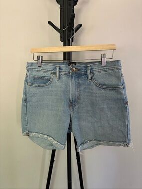 BDG Light Blue Denim Cutoff Shorts